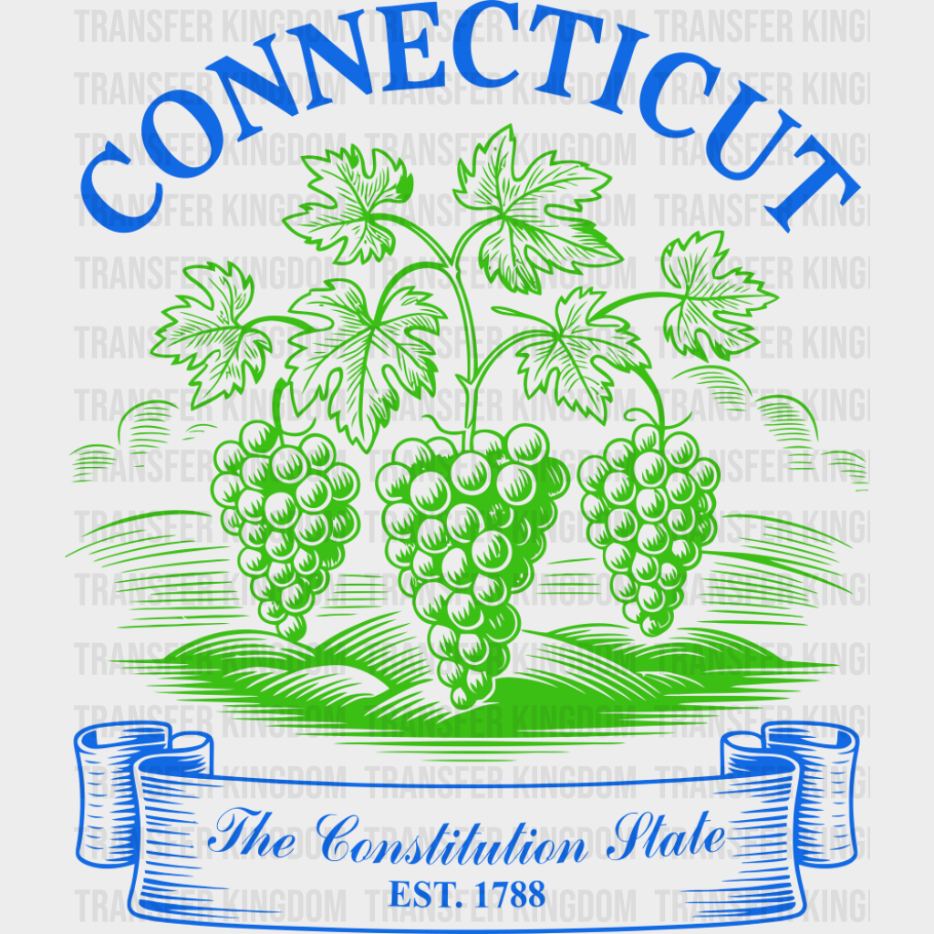 Connecticut The Constitution State - States & Cities DTF Transfer