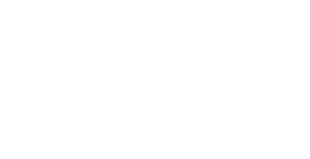 Hawk Tuah DTF heat transfer