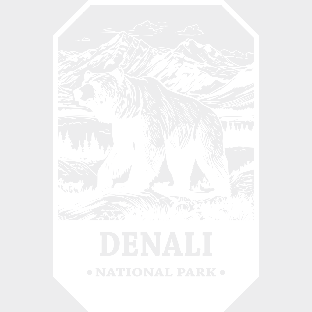 Denali National Park Design - Parks Dtf Transfers Unisex S & M (10’) / Light Color See Imaging