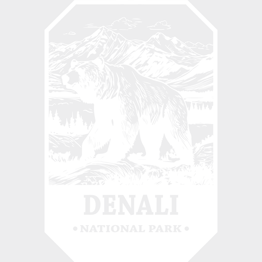 Denali National Park Design - Parks Dtf Transfers Unisex S & M (10’) / Light Color See Imaging