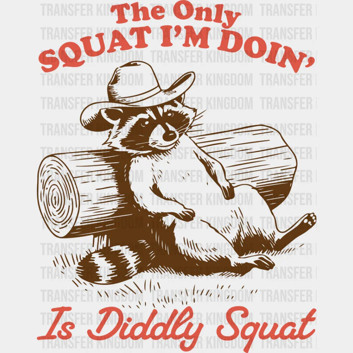 Diddly Squat Raccoon Design - Funny DTF Transfer