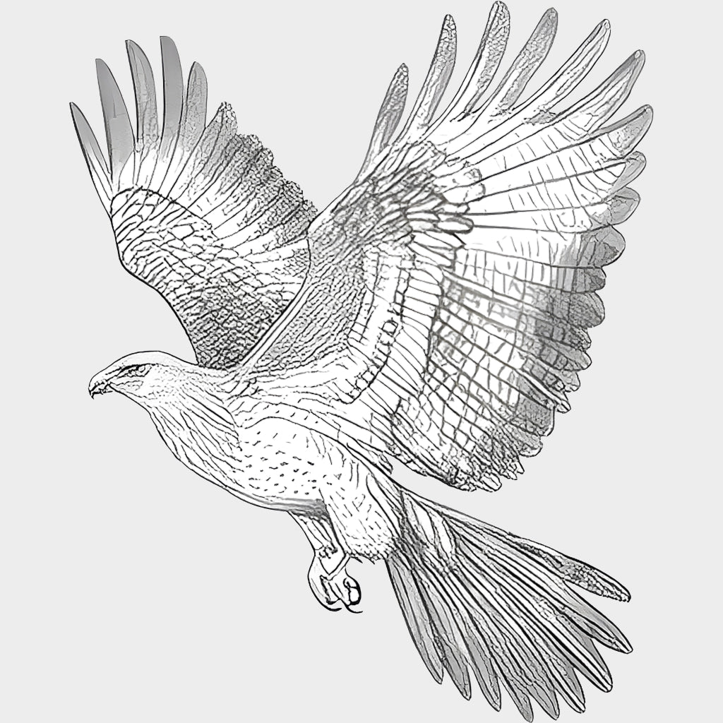 Eagle B&W - Animals DTF Transfers - Adult Unisex - S & M (10’’) / Light Color Design (See Imaging)