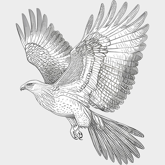 Eagle B&W - Animals DTF Transfers - Adult Unisex - S & M (10’’) / Light Color Design (See Imaging)