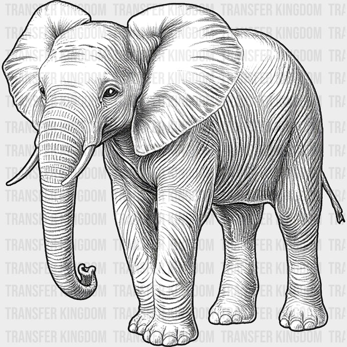 Elephant B&W - Animals DTF Transfers
