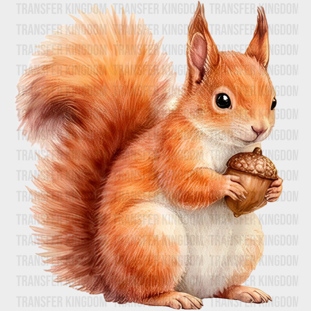 Eurasian Red Squirrel - Animals DTF Transfers