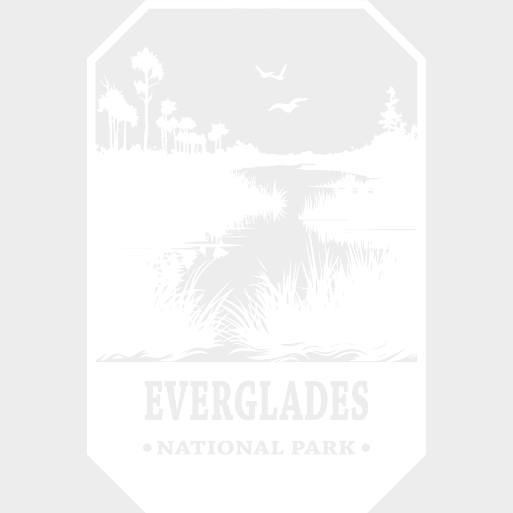 Everglades National Park Design - Parks Dtf Transfers Unisex S & M (10’) / Light Color See Imaging