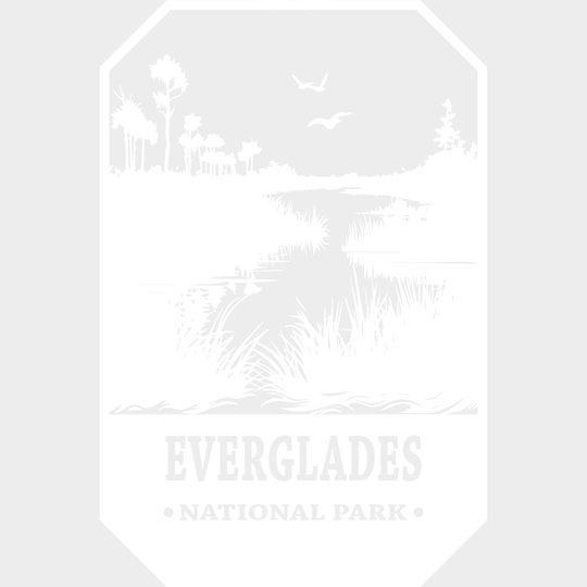 Everglades National Park Design - Parks Dtf Transfers Unisex S & M (10’) / Light Color See Imaging