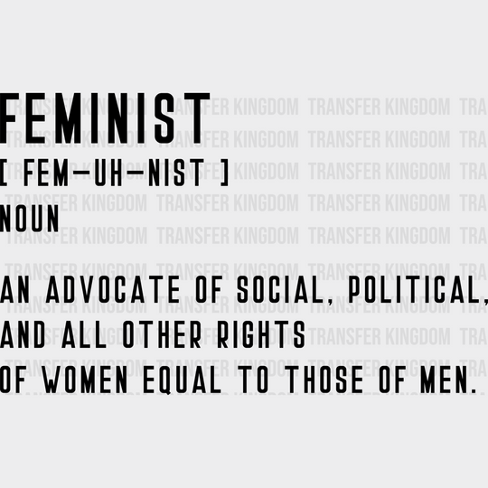 Feminist Definition Fem - Uh Nist Noun An Advocate Of Social Political And All Other Rights Woman