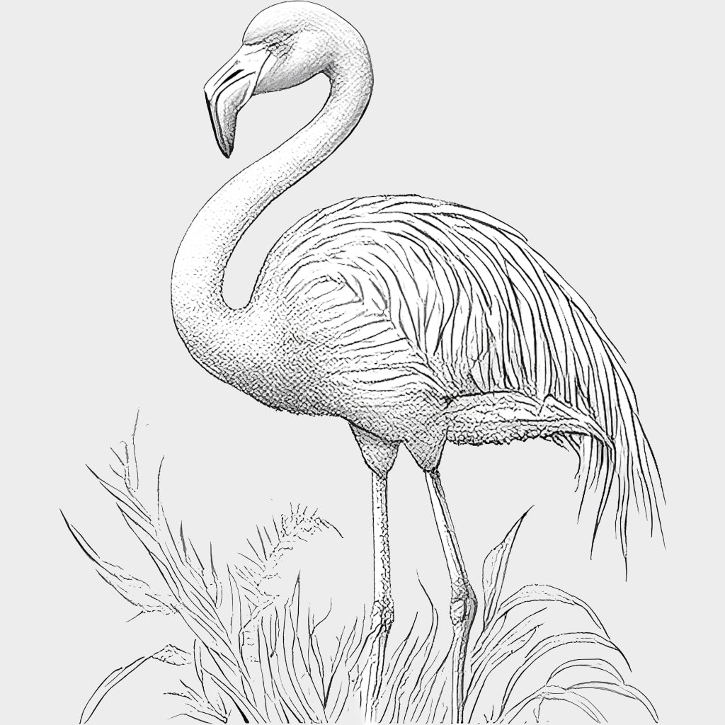 Flamingo B&W - Animals DTF Transfers - Adult Unisex - S & M (10’’) / Light Color Design (See Imaging)