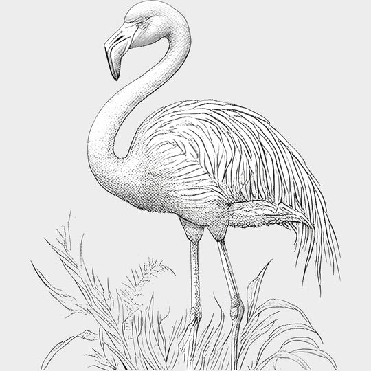 Flamingo B&W - Animals DTF Transfers - Adult Unisex - S & M (10’’) / Light Color Design (See Imaging)