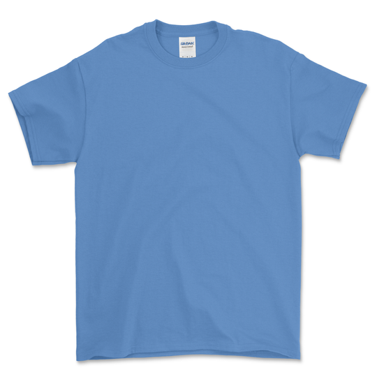 100 Gildan HeavyCotton® Custom T-shirts Bundle