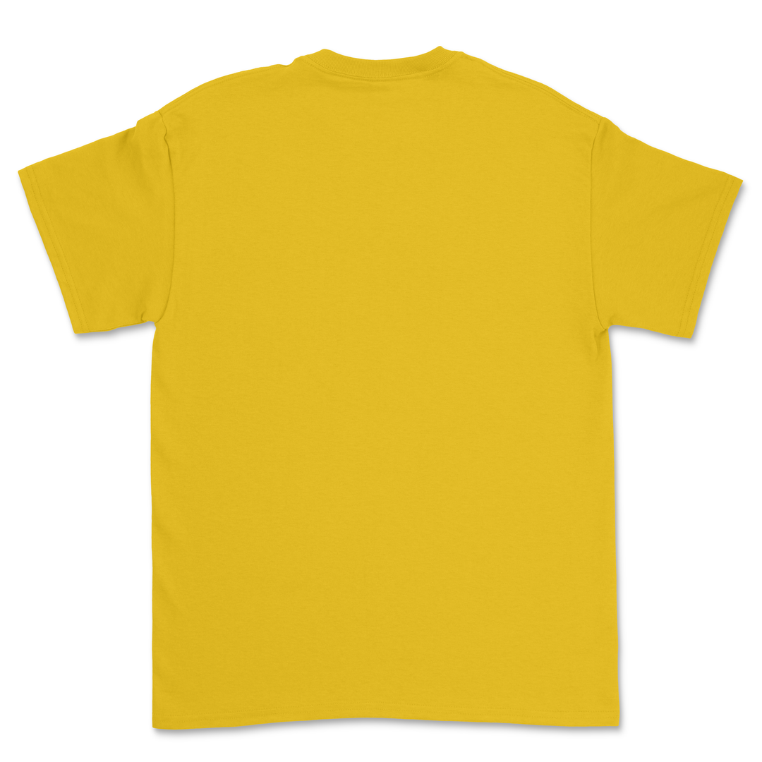 100 Gildan HeavyCotton® Custom T-shirts Bundle