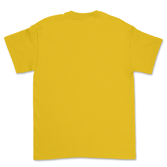 100 Gildan HeavyCotton® Custom T-shirts Bundle