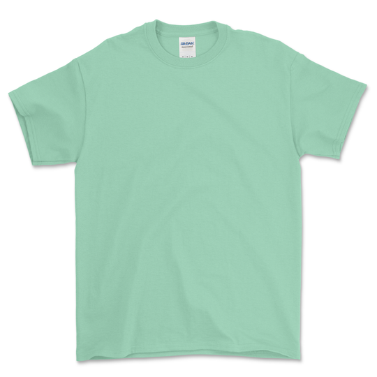 100 Gildan HeavyCotton® Custom T-shirts Bundle