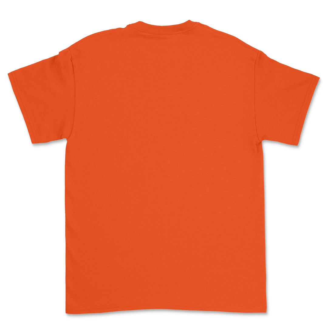 Gildan Heavy Cotton Adult T-Shirt 5000