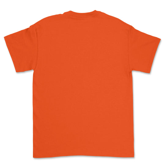 Gildan Heavy Cotton Adult T-Shirt 5000