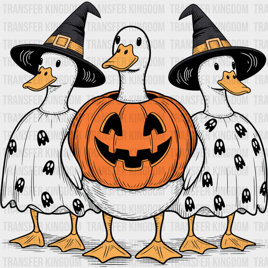 Goose Witch Pumpkin Transparent Halloween DTF Transfer