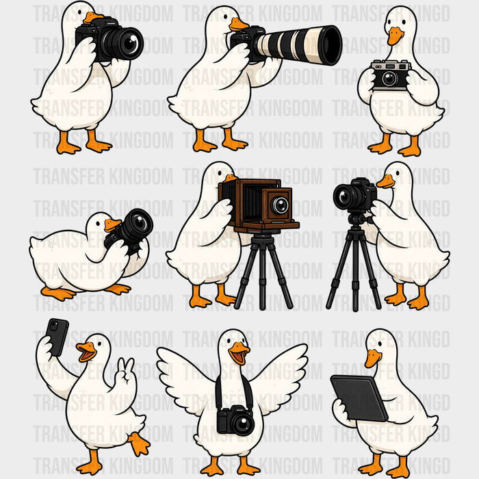 Goose With Camera - Photography DTF Transfers