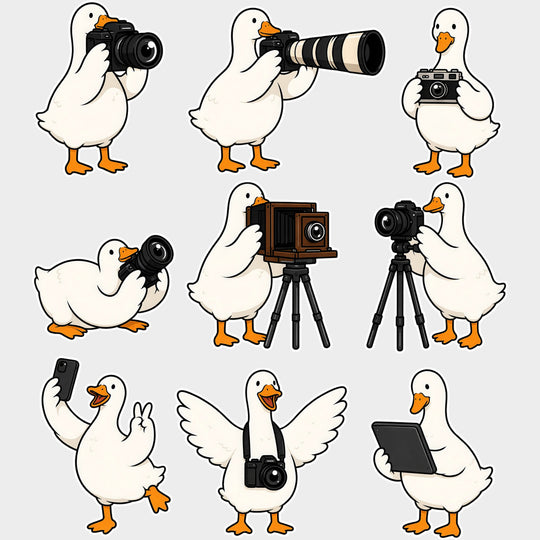 Goose With Camera - Photography DTF Transfers - Adult Unisex - S & M (10’’) / Light Color Design (See Imaging)