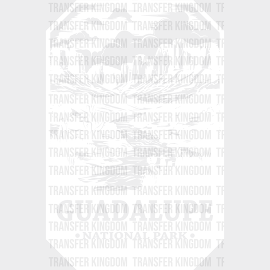 Guadalupe National Park Design - Parks Dtf Transfers Unisex S & M (10’) / Light Color See Imaging