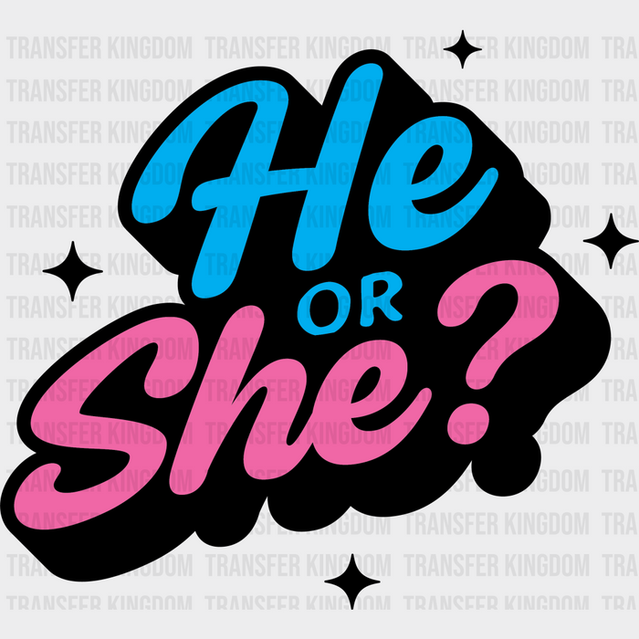 He Or She Blue And Pink Design - Gender Reveal Iron On DTF Transfer