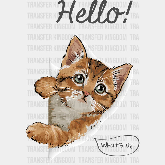 Hello What's Up - Cats DTF Transfer