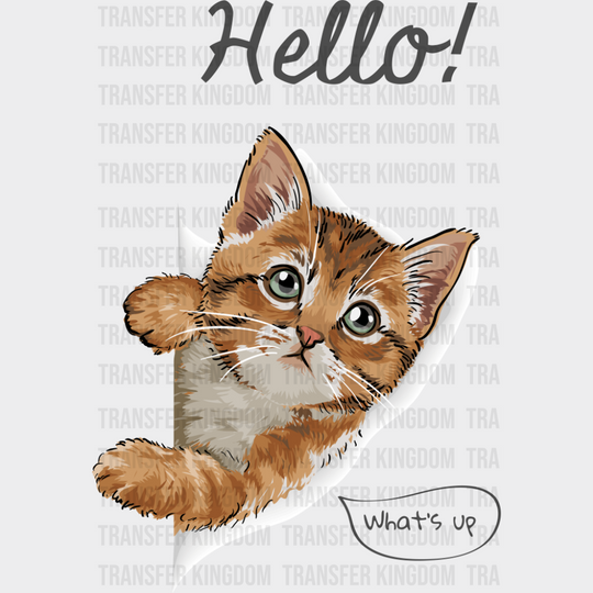 Hello What’s Up - Cats DTF Transfer