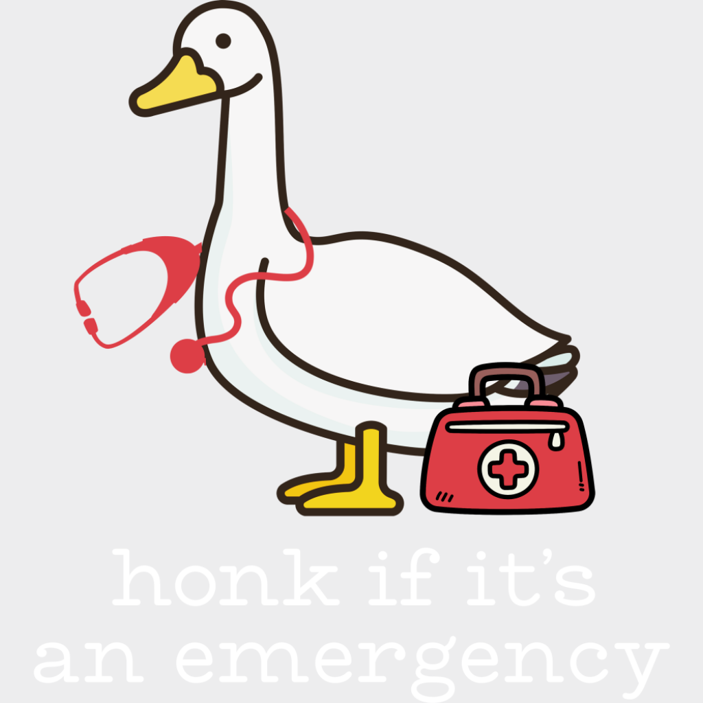 Honk If It’s An Emergency - Funny DTF Transfer Adult Unisex - S & M (10’’) / Light Color Design (See Imaging)