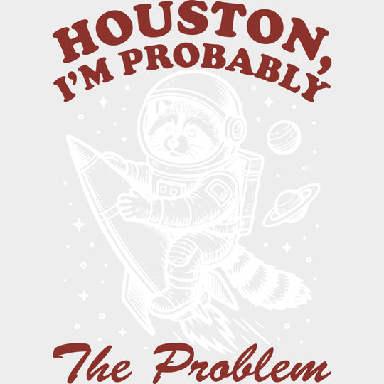 Houston I’m Probably The Problem - States & Cities DTF Transfers Adult Unisex - S & M (10’’) / Light Color Design (See