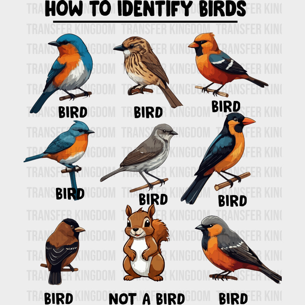 How To Identify Birds - Birds DTF Transfers transfer-kingdom Dark Color Design (See Imaging)