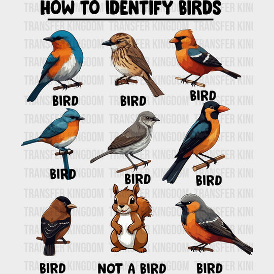 How To Identify Birds - Birds DTF Transfers transfer-kingdom Dark Color Design (See Imaging)