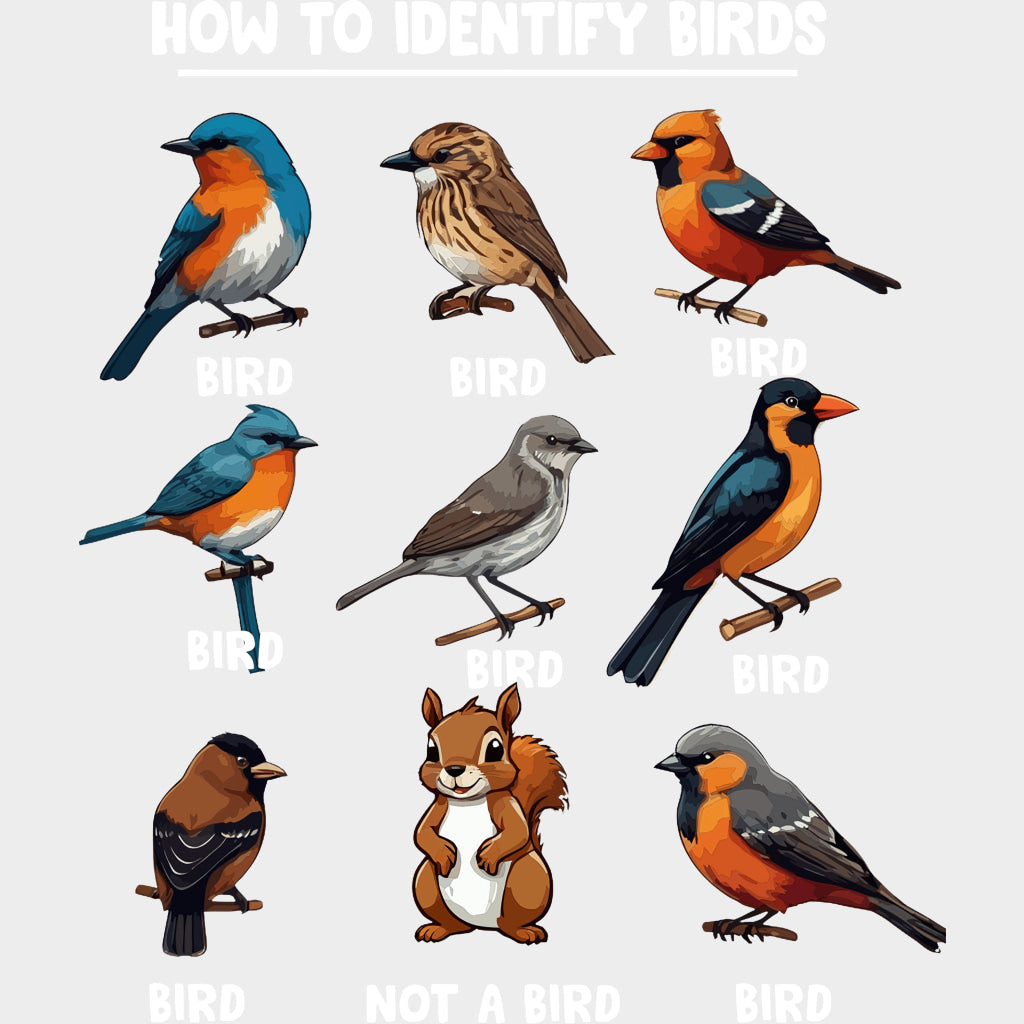 How To Identify Birds - Birds DTF Transfers transfer-kingdom Light Color Design (See Imaging)