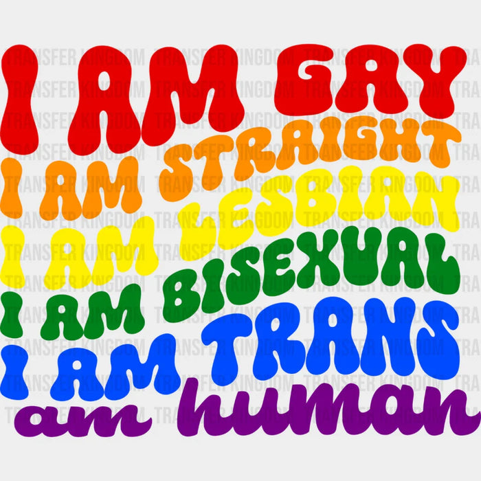 I Am Gay I Am Human - Gay Theme DTF Transfer