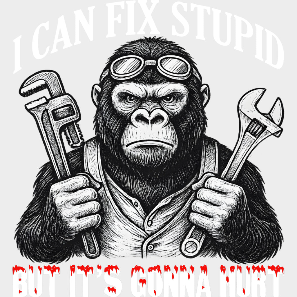 I Can Fix Stupid But It’s Gonna Hurt - Funny DTF Transfers Adult Unisex - S & M (10’’) / Light Color Design (See