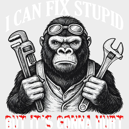 I Can Fix Stupid But It’s Gonna Hurt - Funny DTF Transfers Adult Unisex - S & M (10’’) / Light Color Design (See