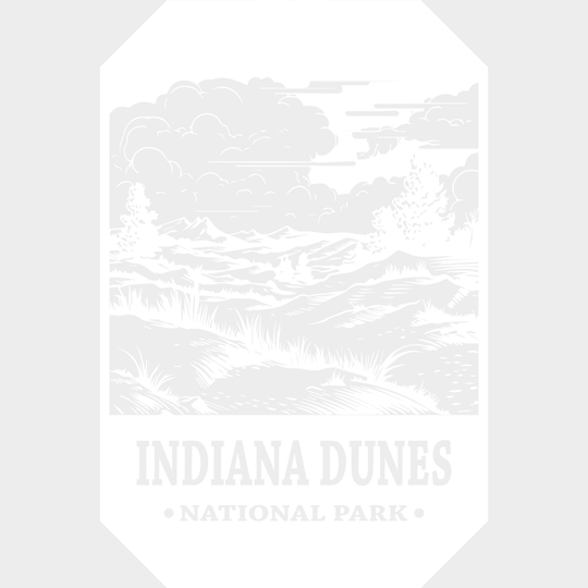Indiana Dunes National Park Design - Parks Dtf Transfers Unisex S & M (10’) / Light Color See