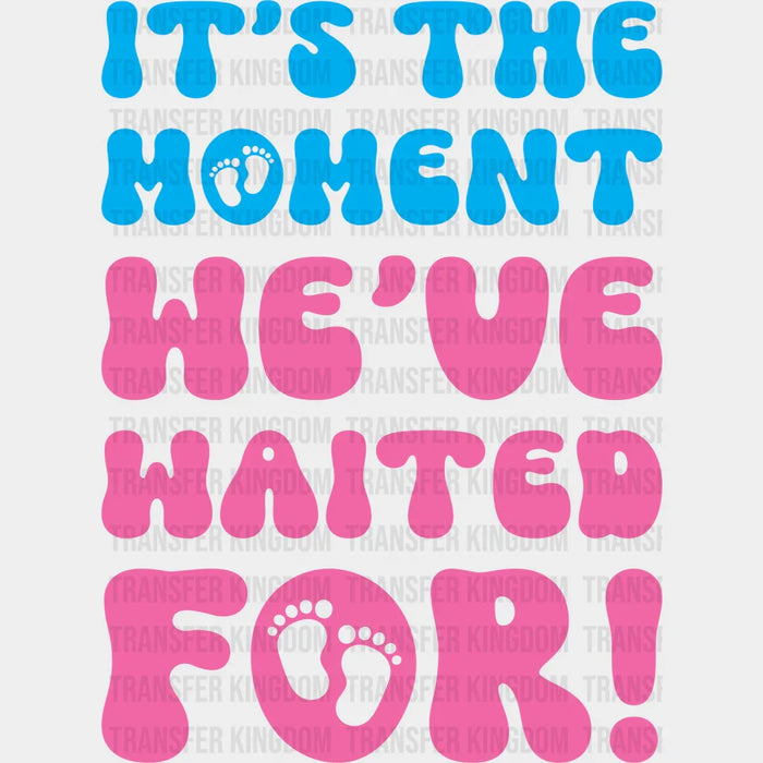 It's The Moment We've Waited For - Gender Reveal DTF Transfer