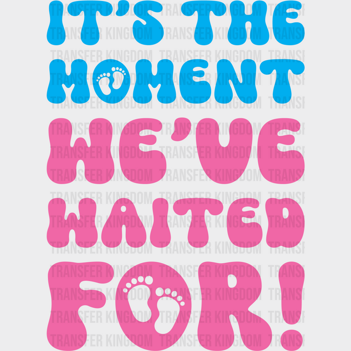 It's The Moment We've Waited For - Gender Reveal DTF Transfer