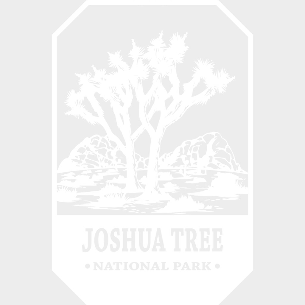 Joshua Tree National Park Design - Parks Dtf Transfers Unisex S & M (10’) / Light Color See Imaging