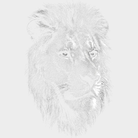 Lion B&W - Animals DTF Transfers - Adult Unisex - S & M (10’’) / Light Color Design (See Imaging)