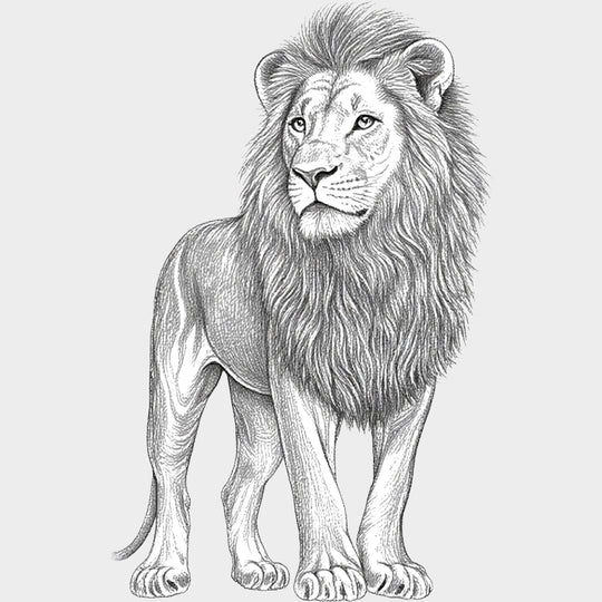 Lion B&W - Animals DTF Transfers - Adult Unisex - S & M (10’’) / Light Color Design (See Imaging)