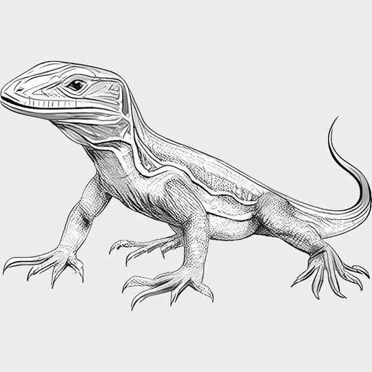 Lizard B&W - Animals DTF Transfers - Adult Unisex - S & M (10’’) / Light Color Design (See Imaging)