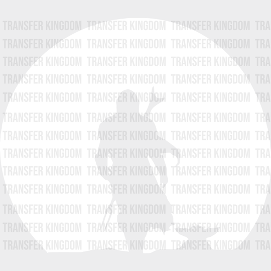 Mandalorian Silhouette Disney Dtf Transfer Unisex - S & M (10’) / Light Color Design See Imaging