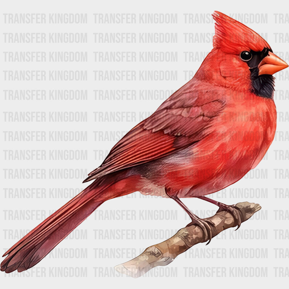 Northern Cardinal - Animals DTF Transfers