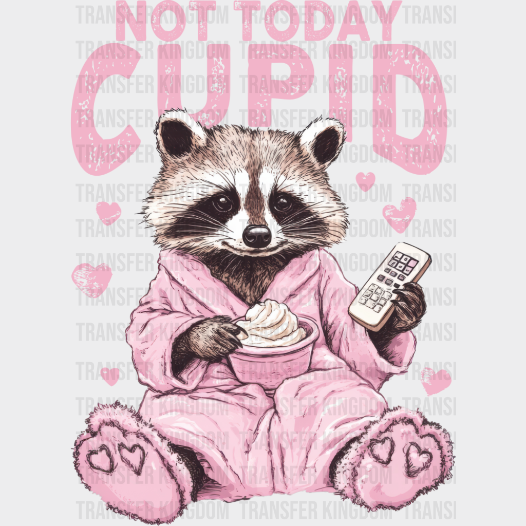 Not Today Cupid Pink Bathrobe Raccoon - Valentine’s Day Dtf Transfer