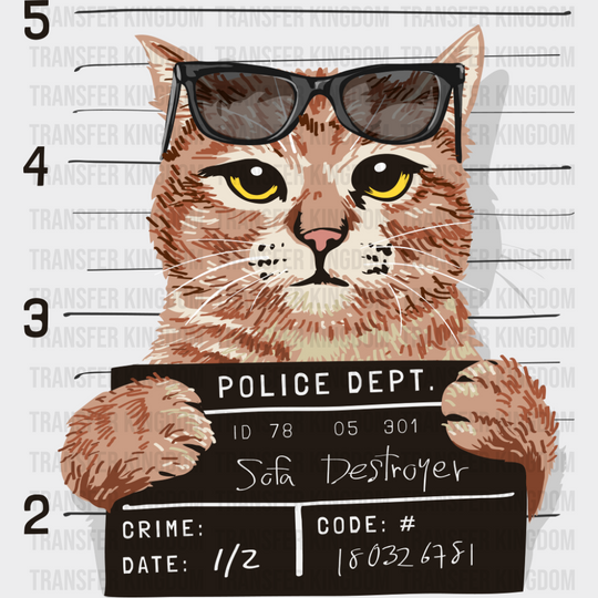 Orange Cat Mugshot - Cats DTF Transfer