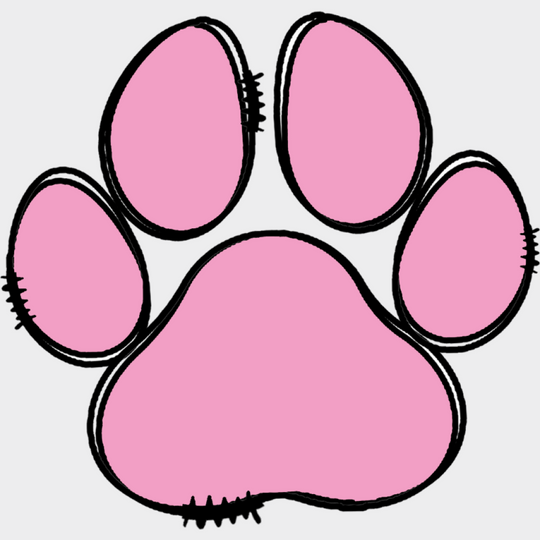 Paw Yellow And Pink - Dogs DTF Transfer Adult Unisex - S & M (10’’) / Pink Color Design (See Imaging)