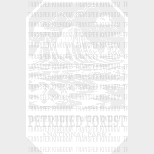 Petrified Forest National Park Design - Parks Dtf Transfers Unisex S & M (10’) / Light Color See