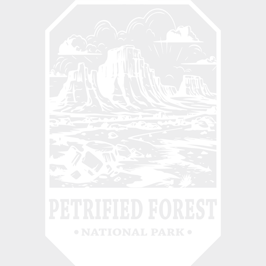 Petrified Forest National Park Design - Parks Dtf Transfers Unisex S & M (10’) / Light Color See