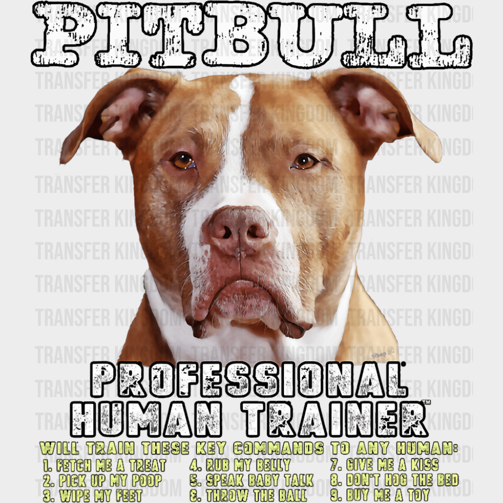 Pitbull Professional Human Trainer - Dogs DTF Transfer
